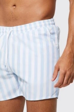 Smart Stripe Swim Short -Ocean Streetwear male pale20blue smart stripe swim short 3